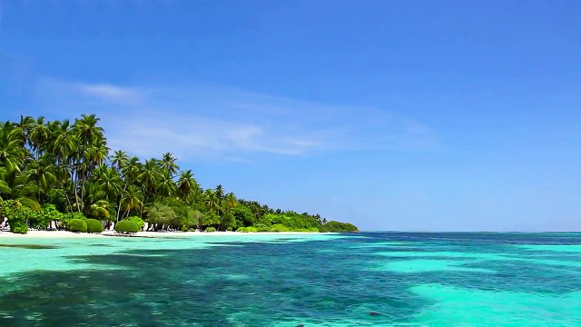 Música Zen: Para Relajarse, Calmar la Mente y Dormir