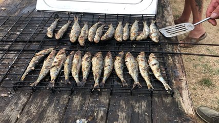 Fête de la sardine