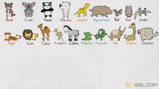 Kids Vocabulary Learn Wild Animal Names | Wild Animals Vocabulary in English