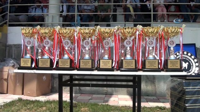 Rahvan At Yarışları nefesleri kesti