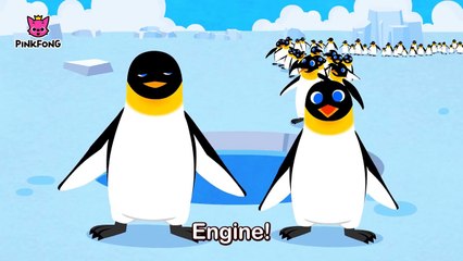 Waddle Emperor Penguin | Penguin | Animal Songs | Pinkfong Songs for Children