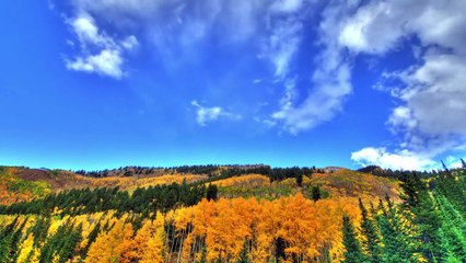 One Day Summer One Day Fall Time Lapse