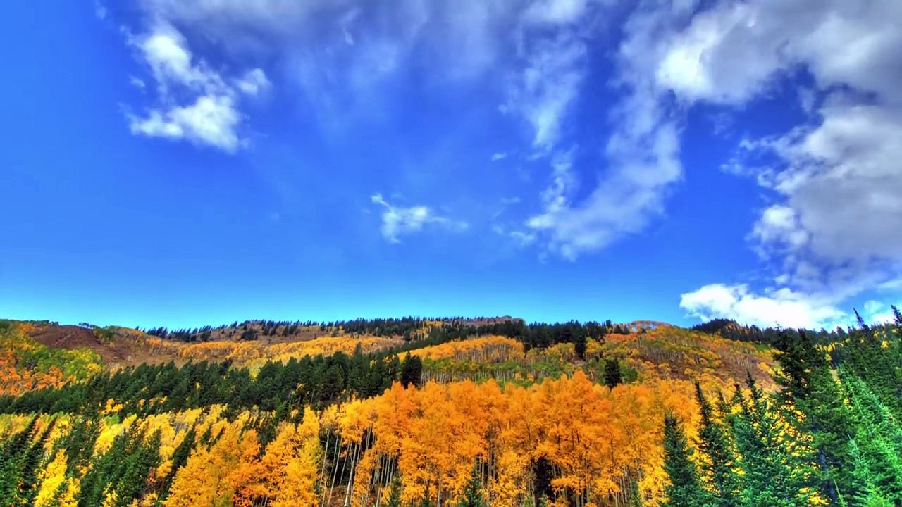 One Day Summer One Day Fall Time Lapse