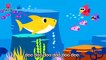 Bébé Requin | Chansons Animales | Chansons Rosefong Pour Enfants