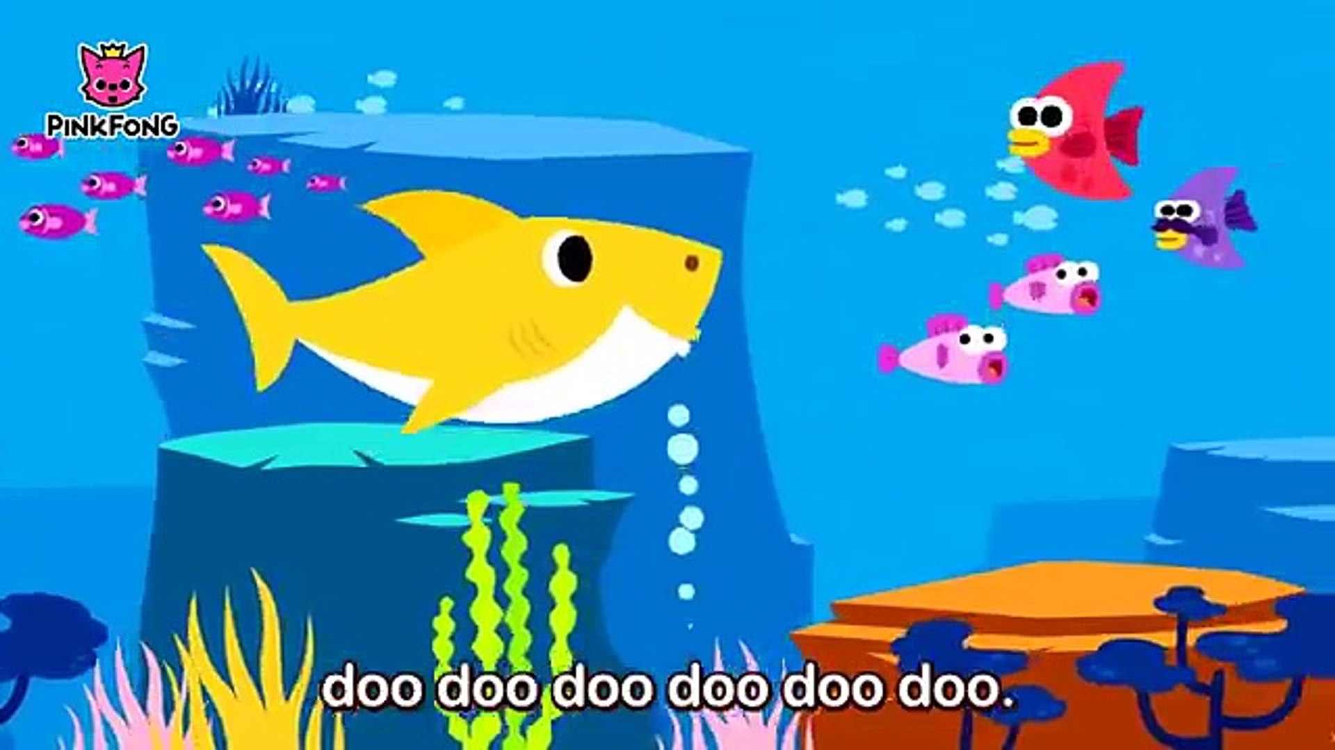 Bébé Requin | Chansons Animales | Chansons Rosefong Pour Enfants