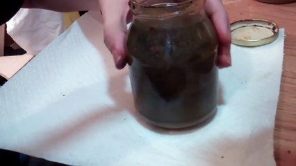 How to Make Black Leather Dye (Vinegaroon) Out of Crap Around Your House