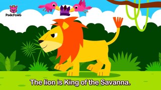 The Lion | Animal Songs | PINKFONG Songs for Children