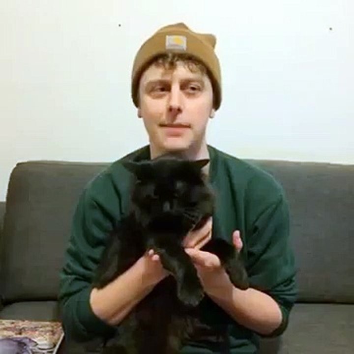 Norman Les chats Norman fait des vidéos il frappe son ami