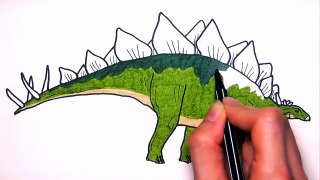 Drawing And Coloring Stegosaur How to Draw Dinosaurs Color page For Children