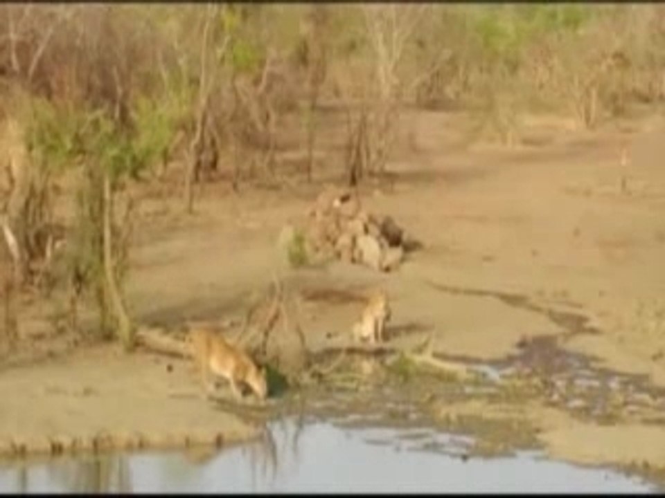 SAFARI-BURKINA FASO