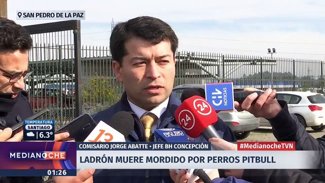 Ladrón muere tras ser atacado por perros pitbull en local de juegos infantiles en San Pedro de la Paz