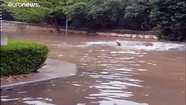 Grèce : Athènes sous les eaux