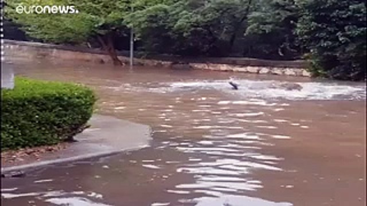 Grèce : Athènes sous les eaux