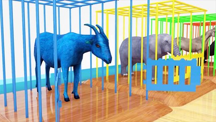 King Kong Learn Colors Eggs Baby King Kong Cartoon Nursery Rhymes For Kids