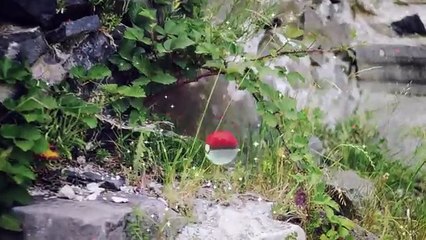 Discover Pokémon in the Real World with Pokémon GO!