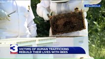 Program Helps Survivors of Human Trafficking Rebuild Their Lives by Building Bee Colonies