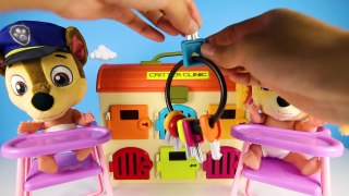 School Bus Fun With Paw Patrol | Chase & Skye Learn Colors | Fidget Spinners Trolls Poppy