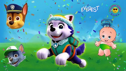 Learn Colors BATHING COLORS FUN Bubble Guppies Nonny Oona Gil Dheema || ChildrenSongs Guer