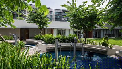 Граждане, требуйте выход на крышу!