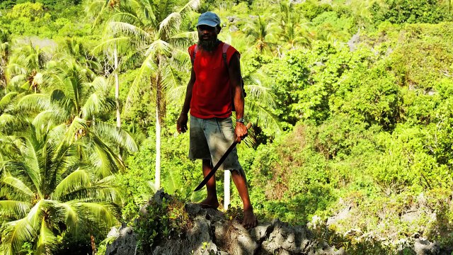 Насекомые, Жившие 300 млн лет Назад, Пришли Прямиком из Ночных Кошмаров