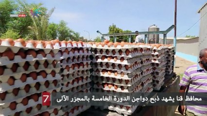 محافظ قنا يشهد ذبح دواجن الدورة الخامسة بالمجزر الآلى