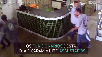Funcionários de loja assustam-se com pit bull