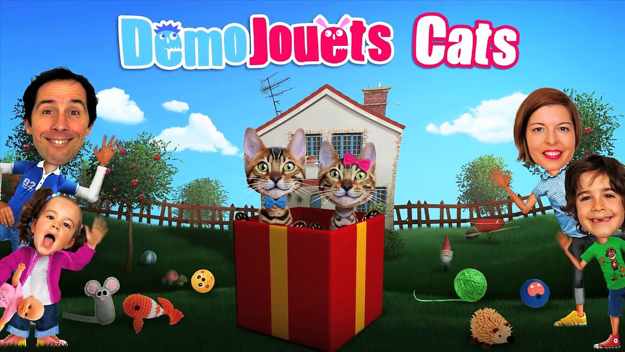 Nos Chats sont déguisés en Superman et affrontent lourson Batman ! Démo jouets