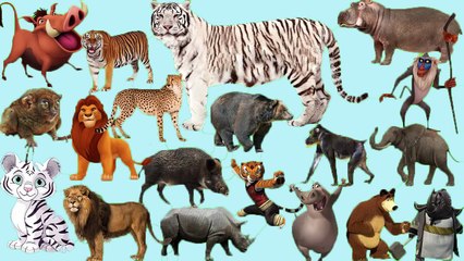 apprendre les animaux de la savane en français || son danimaux pour bébé