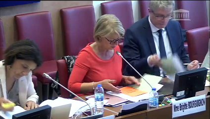 Commission des affaires sociales : Pour la liberté de choisir son avenir professionnel (suite) - Mercredi 18 juillet 2018