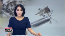 Korea's heat wave has reduced mosquito population: KCDC