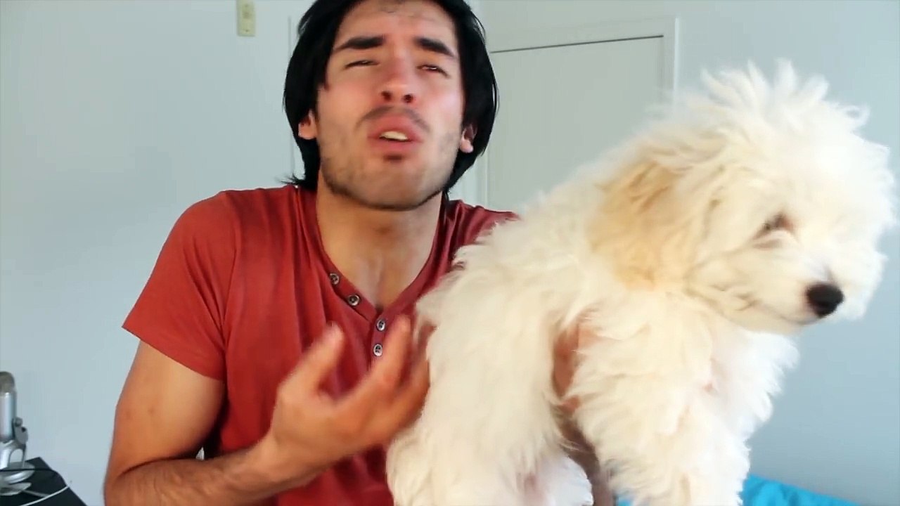 Las Mascotas | Hola Soy German