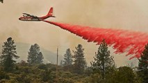 Waldbrand in Kalifornien: Trump erklärt Notstand