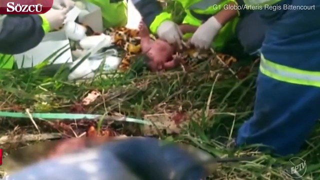 Korkunç kazadan mucize kurtuluş! Anne karnından fırladı