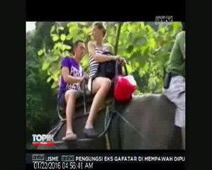 Wisata Memandikan Gajah