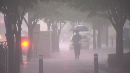 슈퍼컴, 다음 주 후반 다소 강한 비 예측 / YTN