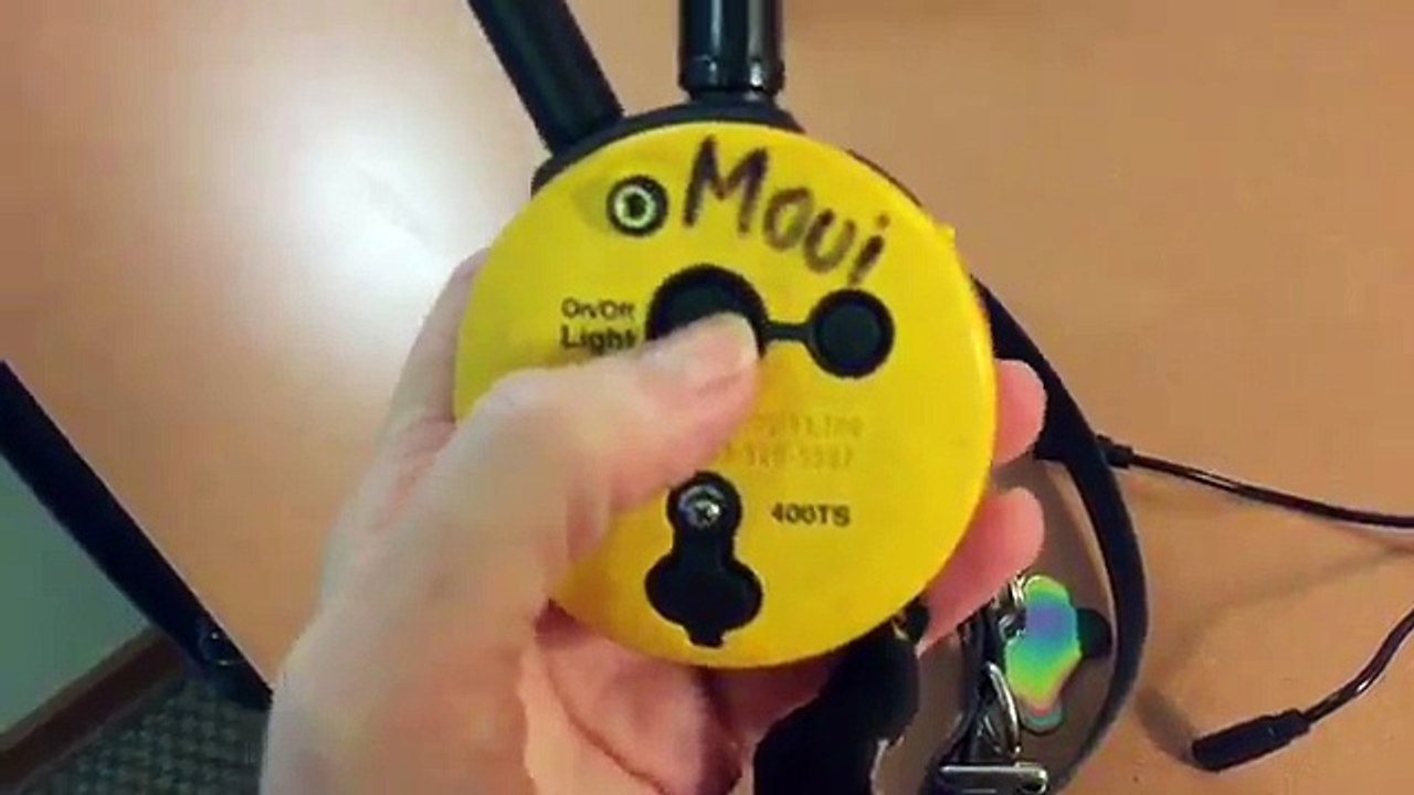 How to work Remote e-collar