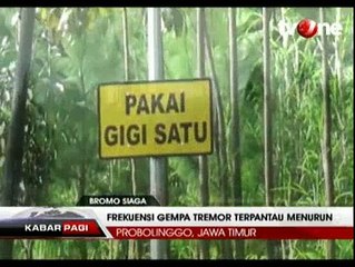 Tanaman Makin Subur Setelah Erupsi Gunung Bromo