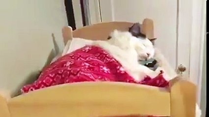 وقت النوم تصبحو على خير