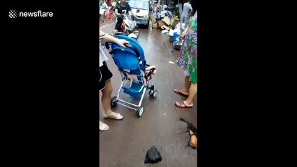 Heavy rain in southwest China cracks road, revealing pumpkin wedged beneath