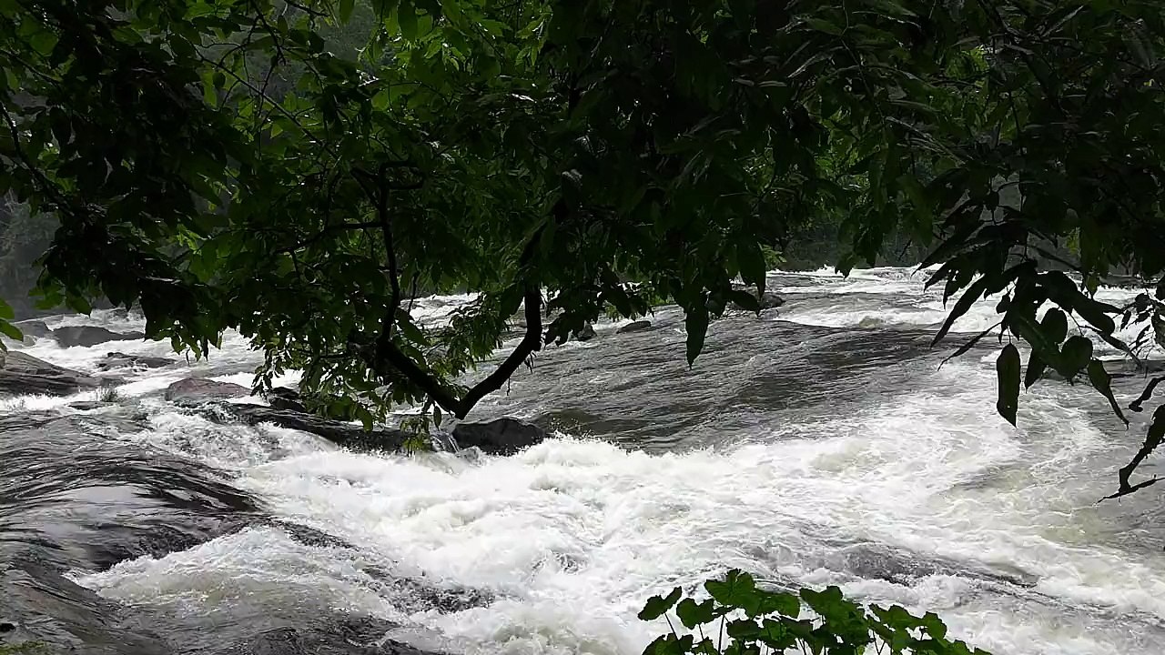 Rushing River - Doug Parr