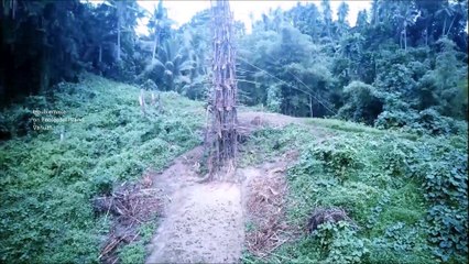 Pentecost Island - Land Diving - nice Hotel