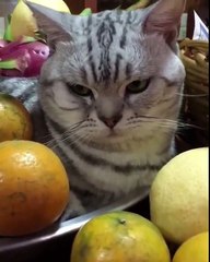 When you make an error and are not forgiven