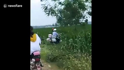 Police chase man balancing precariously on top of moving car for 12 kilometres
