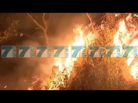 ZJARRET NE KALIFORNI SHKAKTOJNE 5 VIKTIMA DHE TE PAKTEN 12 TE ZHDUKUR - News, Lajme - Kanali 7