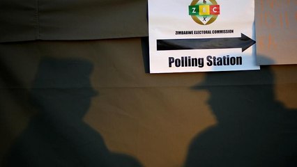 Zimbabwe al voto: la sfida tra il "coccodrillo" e l'avvocato