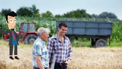 Kuhbürste De Laval Agrar Platinen Landwirtschaft  Reparatur
