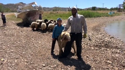 Gerçüş’te sıcaktan bunalan hayvanlarını serinletiyorlar