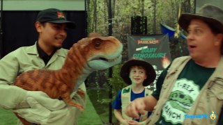 Giant Life Size T Rex & Little Dinosaurs at Jurassic Quest Kids Dinosaur Event