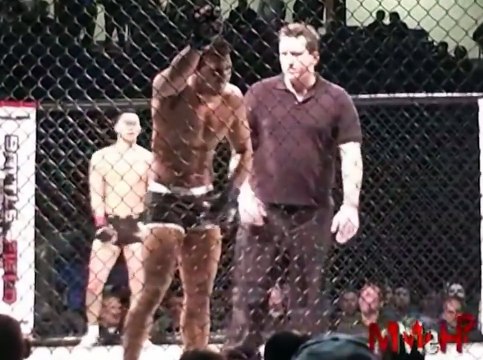 Capoeira Fight - Best Crazy Capoeira in MMA