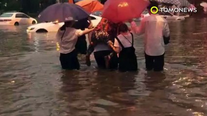 하늘에서 해산물이 후두두두둑